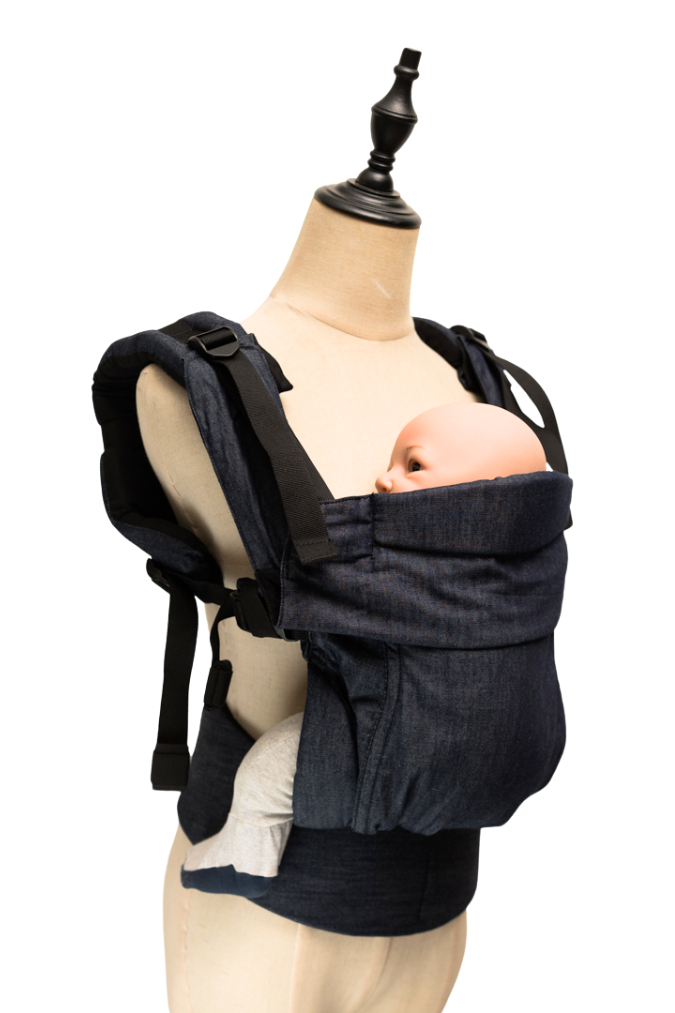 Aseema 2.0 Baby Carrier 0 4 Years