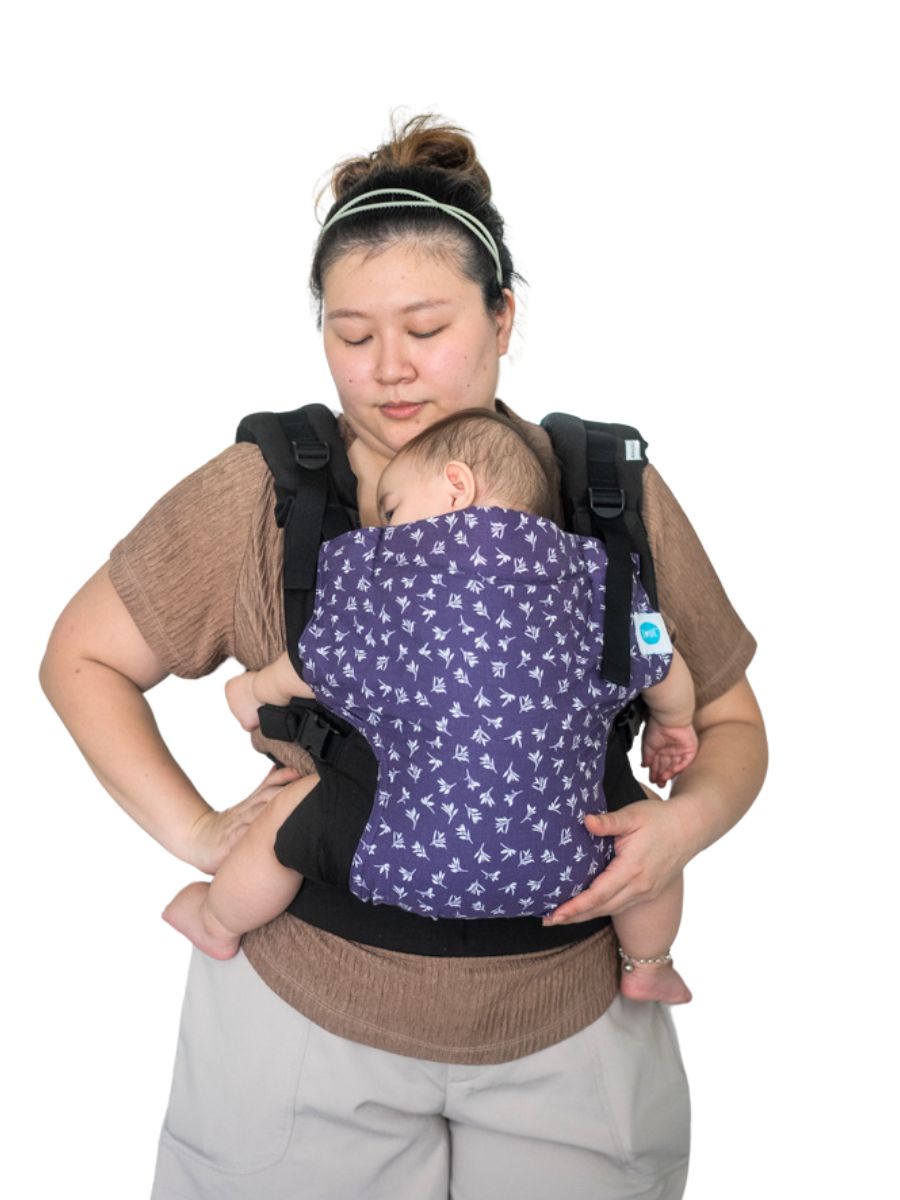 Aseema 2.0 Baby Carrier 0- 4 Years